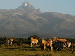 Mount Kenya Safari
